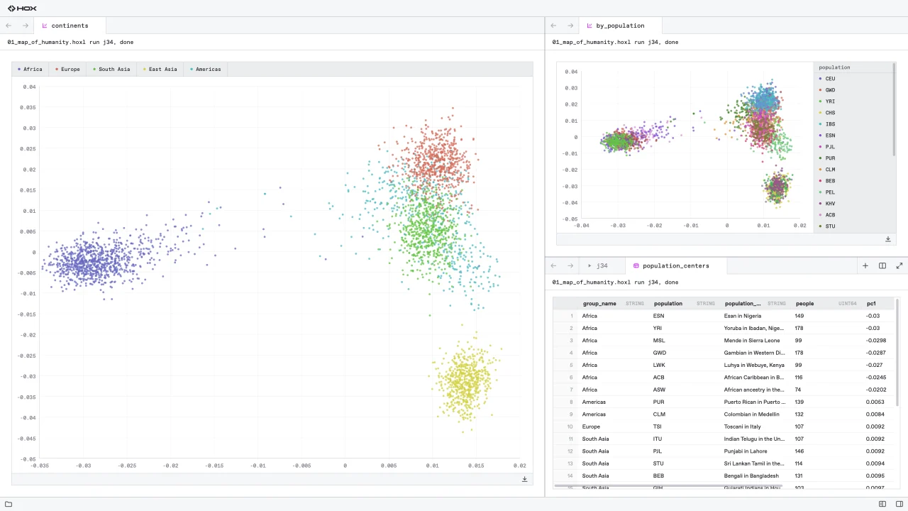 HoX Terminal: 3,202 people of the 1000 Genomes panel plotted by genotype, beside a table of populations