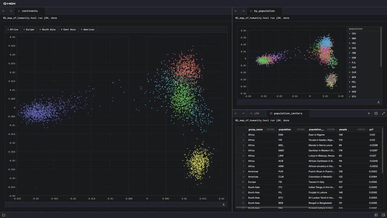 HoX Terminal, dark theme: 3,202 people of the 1000 Genomes panel plotted by genotype, beside a table of populations